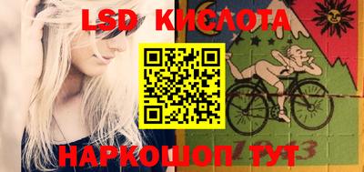 прущие грибы Краснодар