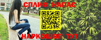 прущие грибы Краснодар